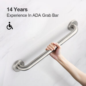 ADA GRAB BAR